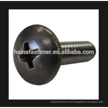 DIN7985 Pan Head PhilipsScrew, Preto Oixed